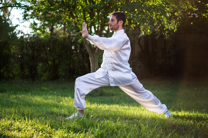 Sun Style Tai Chi practice